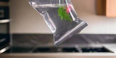 WhatsApp Image 2024-05-17 at 12.50.54 PM_1739530846414